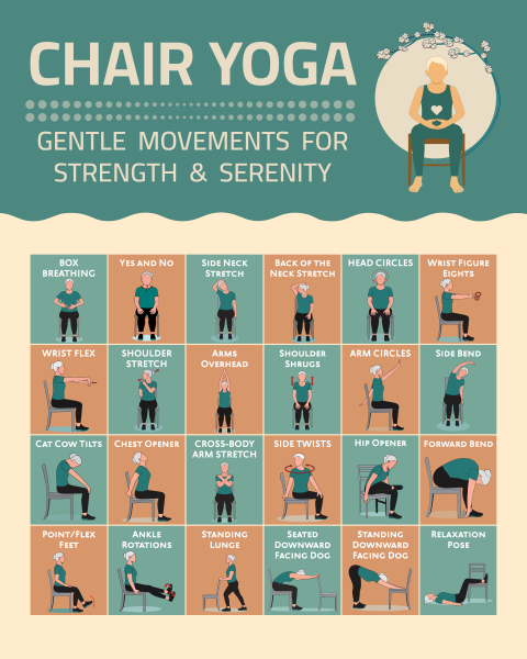 Chair Yoga Charts for Seniors & Flexibility