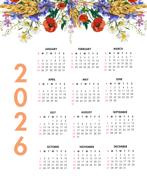 2026 Year at a Glance Bright Wild Flowers Calendar