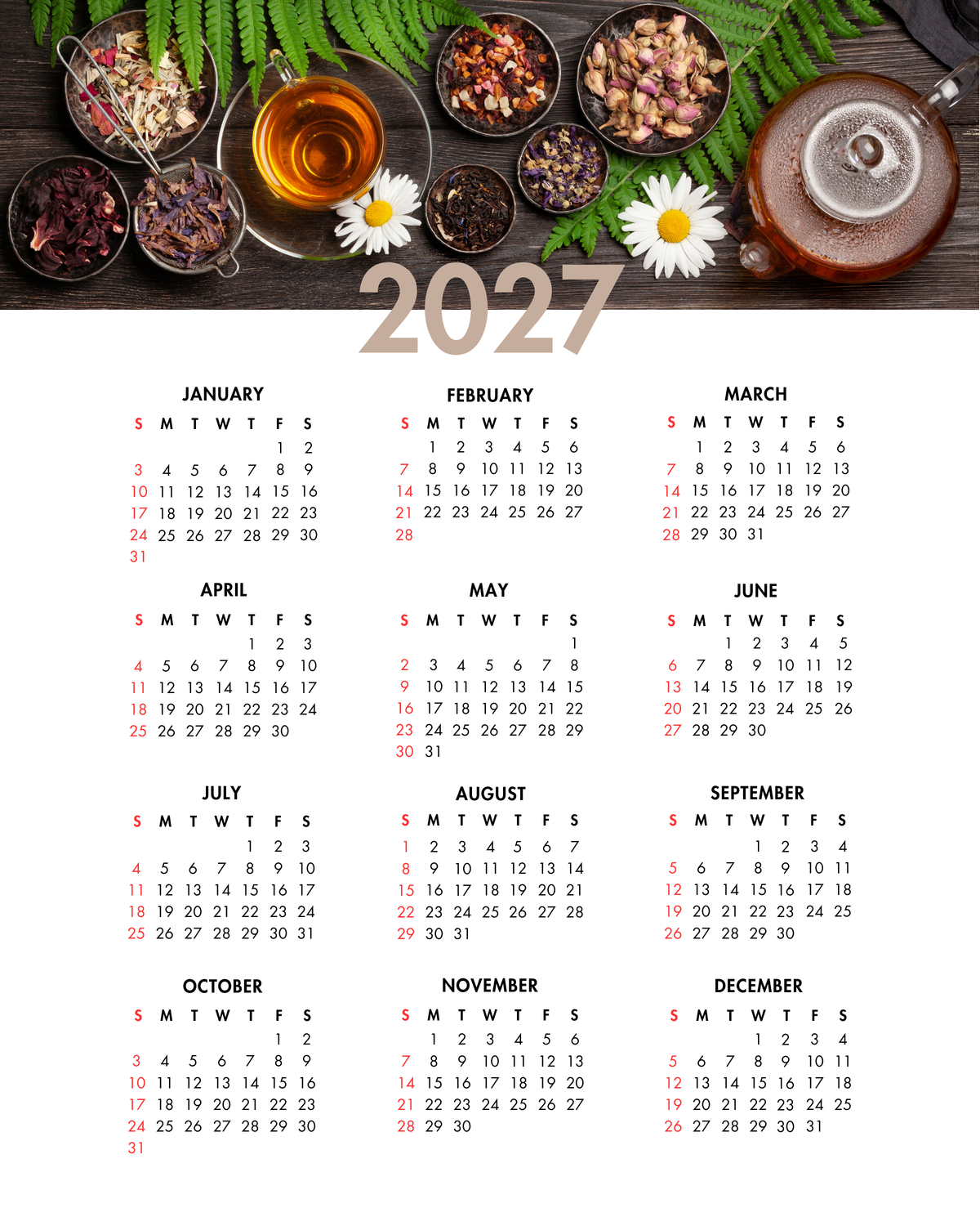 2027 Year at a Glance Wall Calendar – Herbal Tea & Daisies