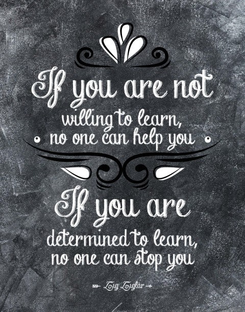 Zig Ziglar Motivational Poster with Inspirational Quote